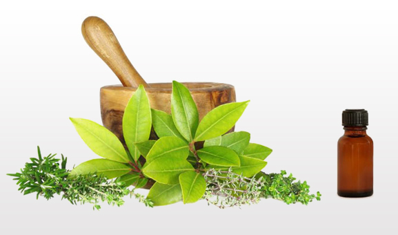 Bay leaves and herbs beside a wooden mortar and a bottle of herbal oil